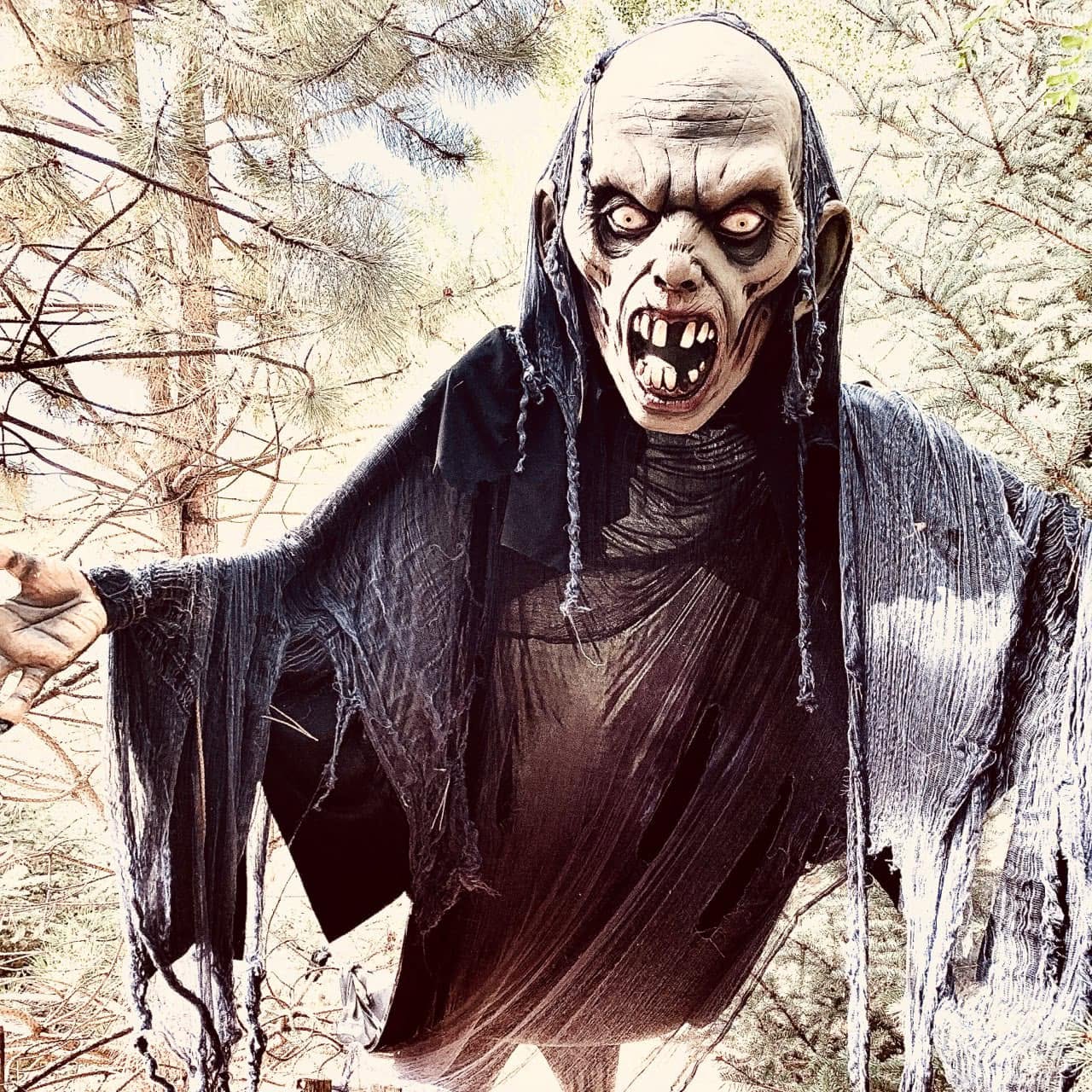 A frightening vampire character among the trees of the Haunted Forest